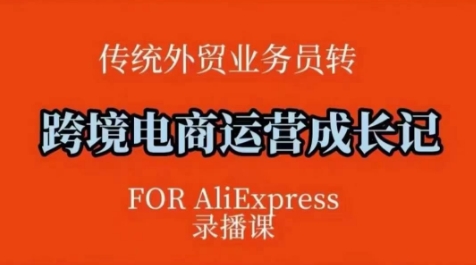 跨境电商速卖通运营课，​运营方法论+后台实操，逻辑清晰-非凡网-资源网-最新项目分享网站