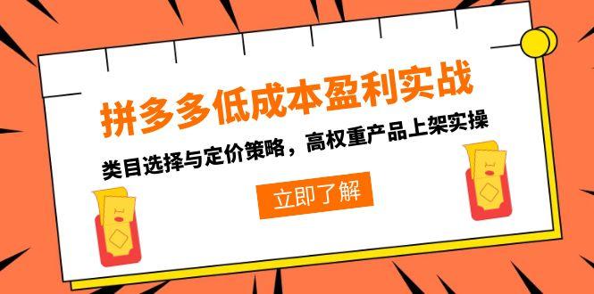 拼多多低成本盈利实战，类目选择与定价策略，高权重产品上架实操-非凡网-资源网-最新项目分享网站
