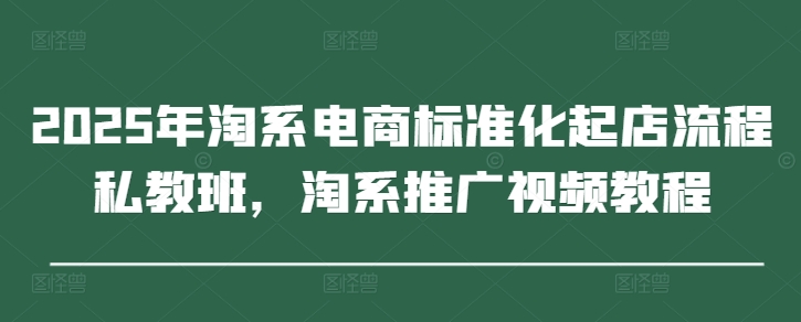 2025年淘系电商标准化起店流程私教班，淘系推广视频教程-非凡网-资源网-最新项目分享网站
