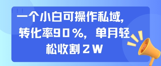一个小白可操作私域，转化率90%，单月轻松收割2W-非凡网-资源网-最新项目分享网站