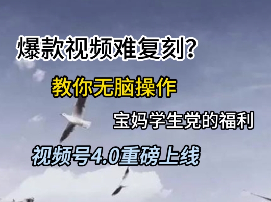 视频号4.0重磅上线，爆款视频难复刻？教你无脑操作宝妈学生党的福利【揭秘】-非凡网-资源网-最新项目分享网站