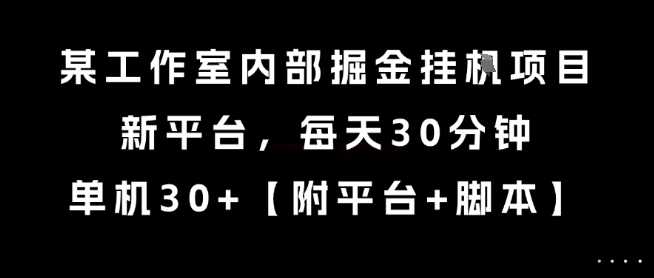 某工作室内部掘金挂G项目，新平台，每天30分钟，单机30+【揭秘】-非凡网-资源网-最新项目分享网站