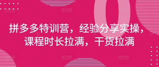 拼多多特训营，经验分享实操，课程时长拉满，干货拉满(更新25年4月)-非凡网-资源网-最新项目分享网站