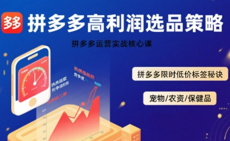 拼多多选品暴利技术实战课，拼多多高利润选品策略，拼多多限时低价标签秘诀-非凡网-资源网-最新项目分享网站