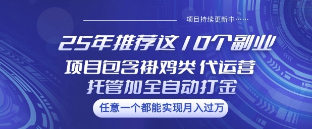 25年推荐这10个副业项目包含褂鸡类、代运营托管类、全自动打金类【揭秘】-非凡网-资源网-最新项目分享网站