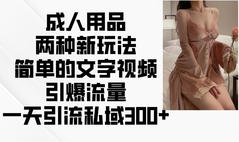 成人用品两种新玩法，简单的文字视频引爆流量，一天引流私域300+-非凡网-资源网-最新项目分享网站