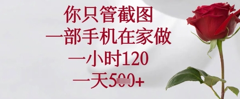你只管截图，一部手机在家可以做，一小时120.一天5张+【揭秘】-非凡网-资源网-最新项目分享网站