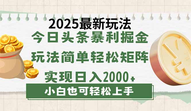 今日头条2025最新玩法，思路简单，复制粘贴，轻松实现矩阵日入2000+-非凡网-资源网-最新项目分享网站