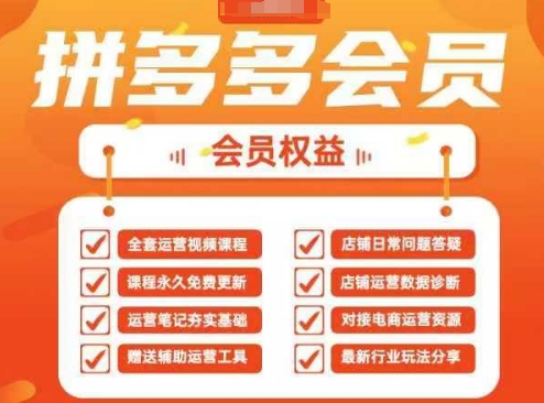2025拼多多运营实战课，40节全流程教学，覆盖拼多多运营全链路-非凡网-资源网-最新项目分享网站