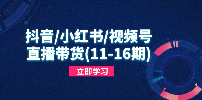抖音/小红书/视频号/直播带货(11-16期-非凡网-资源网-最新项目分享网站