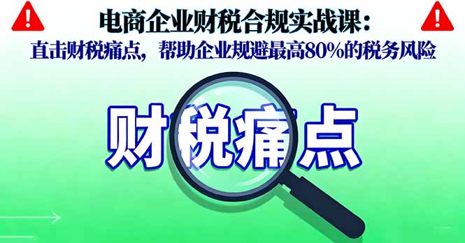 电商企业财税合规实战课，直击财税痛点，帮助企业规避最高80%的税务风险-非凡网-资源网-最新项目分享网站