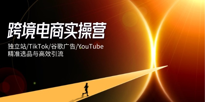 跨境电商实操营：独立站/TikTok/谷歌广告/YouTube，精准选品与高效引流-非凡网-资源网-最新项目分享网站