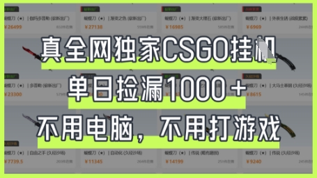 真全网独家CSGO挂G，单日捡漏1k+【揭秘】-非凡网-资源网-最新项目分享网站