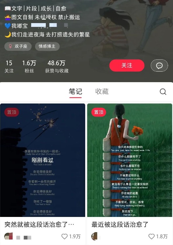小红书治愈文案图文笔记，零门槛，一分钟制作轻松制作爆款作品月入万元-非凡网-资源网-最新项目分享网站