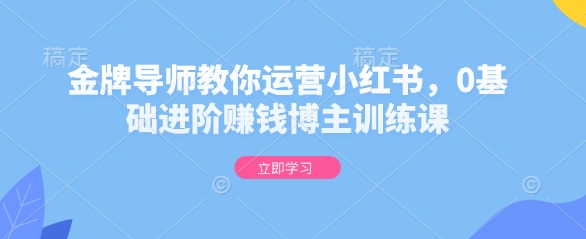 金牌导师教你运营小红书，0基础进阶赚钱博主训练课-非凡网-资源网-最新项目分享网站