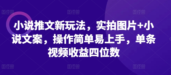 小说推文新玩法，实拍图片+小说文案，操作简单易上手，单条视频收益四位数-非凡网-资源网-最新项目分享网站