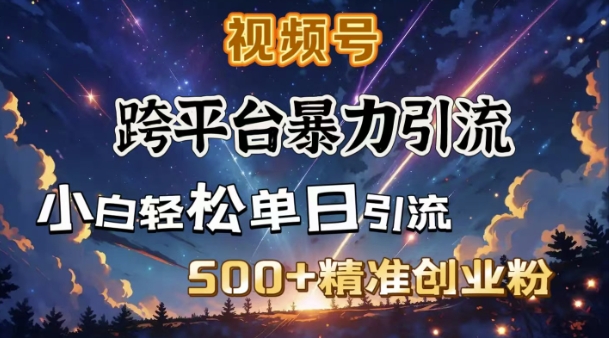 跨平台暴力引流，私域完美闭环，日引500+精准创业粉-非凡网-资源网-最新项目分享网站