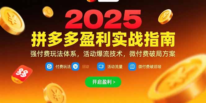 拼多多盈利实战指南，强付费玩法，活动爆流技术，微付费破局方案(更新7月-非凡网-资源网-最新项目分享网站