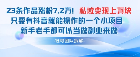 抖音私域项目23条作品涨粉7.2W，私域变现1W-非凡网-资源网-最新项目分享网站