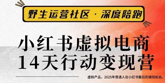 小红书虚拟电商14天变现训练营3.0，虚拟产品，2025年普通人在小红书最后的搞钱机会-非凡网-资源网-最新项目分享网站