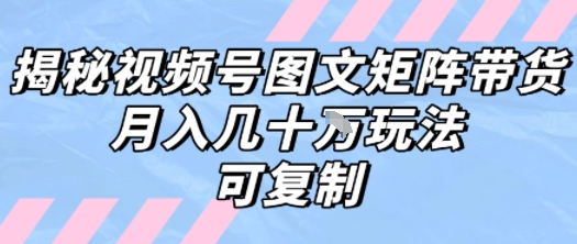 解密视频号图文矩阵带货，月入几个W的打法，可复制-非凡网-资源网-最新项目分享网站