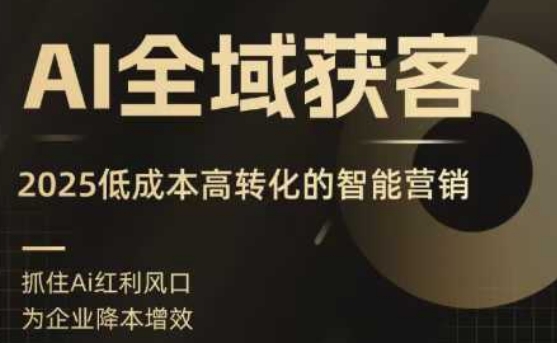 AI全域获客实训营，2025低成本高转化的智能营销，精准找客，高效营销-非凡网-资源网-最新项目分享网站