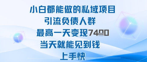 2025年小白都能做的私域项目引流负债人群最高一天变现1k+高变现难度低当天就能见到钱上手快-非凡网-资源网-最新项目分享网站