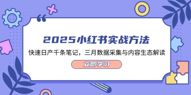 2025小红书实战方法，快速日产千条笔记，三月数据采集与内容生态解读-非凡网-资源网-最新项目分享网站