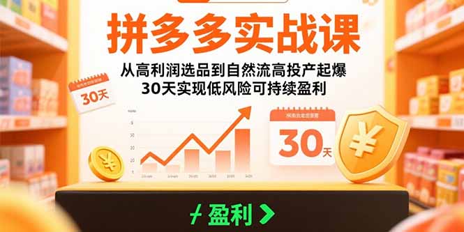 拼多多实战课：从高利润选品到自然流高投产起爆 30天实现低风险可持续盈利-非凡网-资源网-最新项目分享网站