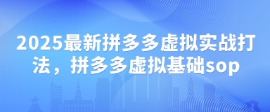 2025最新拼多多虚拟实战打法，拼多多虚拟基础sop-非凡网-资源网-最新项目分享网站