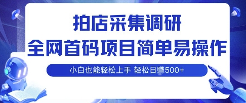 拍店采集调研，全网首码项目，简单易操作， 小白也能轻松上手，多账号操作，轻松日入5张【揭秘】-非凡网-资源网-最新项目分享网站