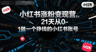 小红书涨粉变现营，21天从0-1做一个挣钱的小红书账号-非凡网-资源网-最新项目分享网站