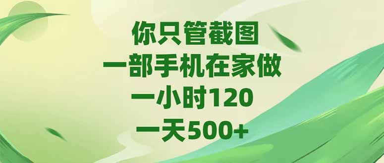 你只管截图，一部手机在家做，一小时120，-天500+-非凡网-资源网-最新项目分享网站