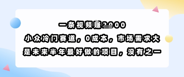 一条视频挣1k，小众冷门赛道，0成本，市场需求大，是未来半年最好做的项目，没有之一-非凡网-资源网-最新项目分享网站
