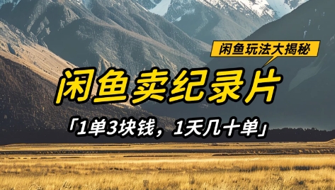 闲鱼卖纪录片1单3块钱，1天几十单，项目稳定有潜力-非凡网-资源网-最新项目分享网站