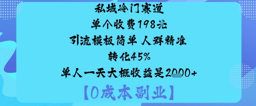 私域冷门赛道:单个收费198米引流模板简单人群精准转化45%单人一天大概收益是1k+-非凡网-资源网-最新项目分享网站