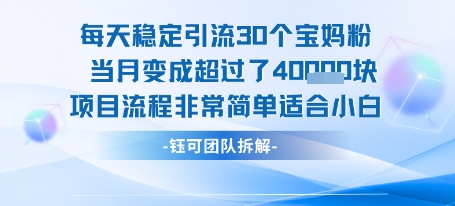 每天稳定引流30个人 当月变成超过了4个W项目流程非常简单适合小白-非凡网-资源网-最新项目分享网站