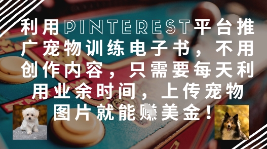 利用Pinterest平台推广宠物训练电子书，不用创作内容，只需要每天利用业余时间，上传宠物图片就能挣美金!-非凡网-资源网-最新项目分享网站