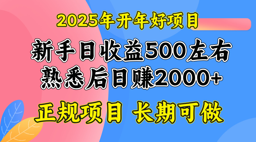 2025开年好项目，单号日收益2000左右-非凡网-资源网-最新项目分享网站