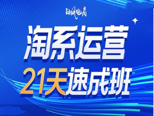 淘系运营21天速成班35期，年前最后一波和2025方向-非凡网-资源网-最新项目分享网站