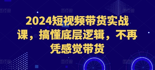 2024短视频带货实战课，搞懂底层逻辑，不再凭感觉带货-非凡网-资源网-最新项目分享网站