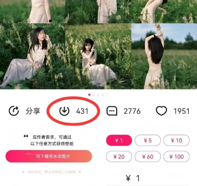 最新图虫搬运项目，收益无上限，利用AI小白也可日赚500+-非凡网-资源网-最新项目分享网站