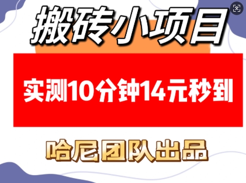 搬砖小项目，实测10分钟14元秒到，每天稳定几张(赠送必看稳定)-非凡网-资源网-最新项目分享网站