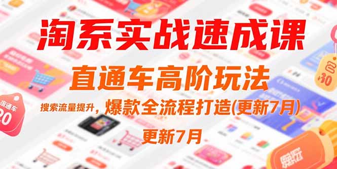 淘系实战速成课，直通车高阶玩法，搜索流量提升，爆款全流程打造(更新7月-非凡网-资源网-最新项目分享网站