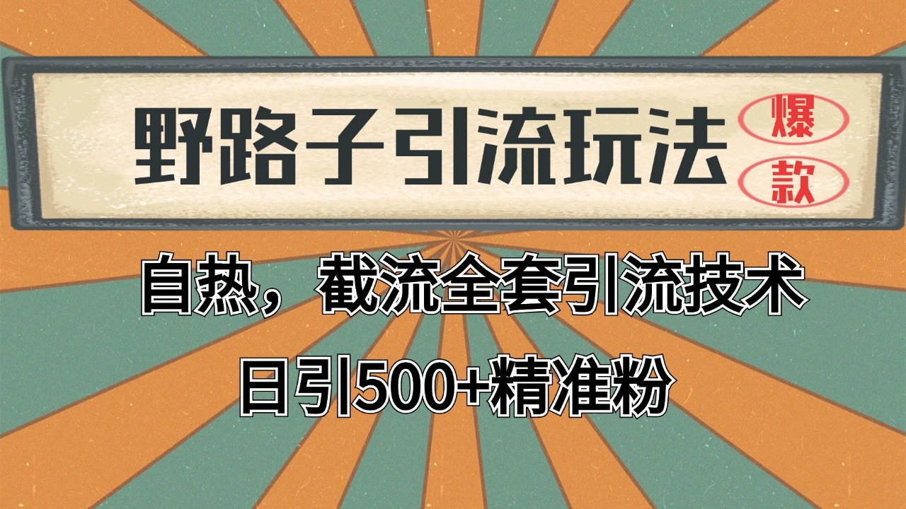 2024首发野路子引流玩法截流自热全平台打法，全自动引流【日引2000+精准客户】-非凡网-资源网-最新项目分享网站