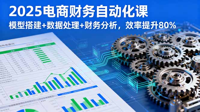 2025电商财务自动化课，模型搭建+数据处理+财务分析，效率提升80%-非凡网-资源网-最新项目分享网站