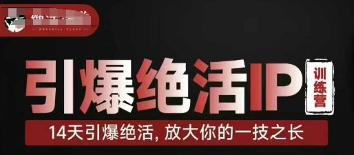 引爆绝活IP训练营，14天引爆绝活，放大你的一技之长-非凡网-资源网-最新项目分享网站