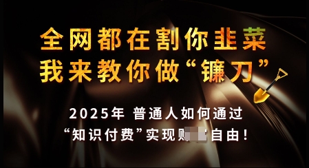 知识付费如何做到月入过W+，2025我来教你做“镰刀”【揭秘】-非凡网-资源网-最新项目分享网站