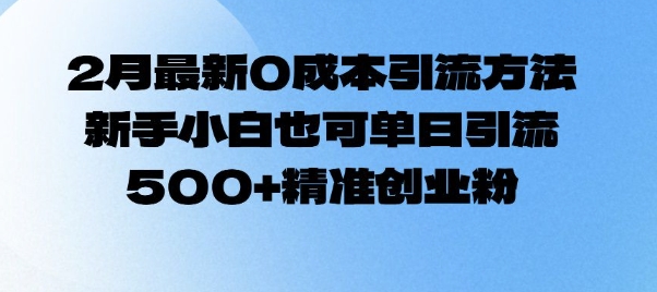 2月最新0成本引流方法，新手小白也可单日引流500+精准创业粉-非凡网-资源网-最新项目分享网站