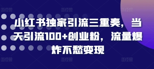 小红书独家引流三重奏，当天引流100+创业粉，流量爆炸不愁变现【揭秘】-非凡网-资源网-最新项目分享网站